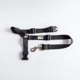 Headrest Seatbelt Restraint