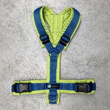 Anny.x Harness Fun