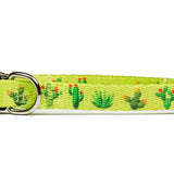 Puppy/Toy Dog Collar
