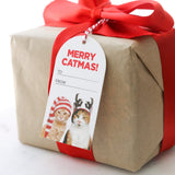 Christmas Gift Tags 6pk