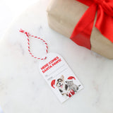 Christmas Gift Tags 6pk