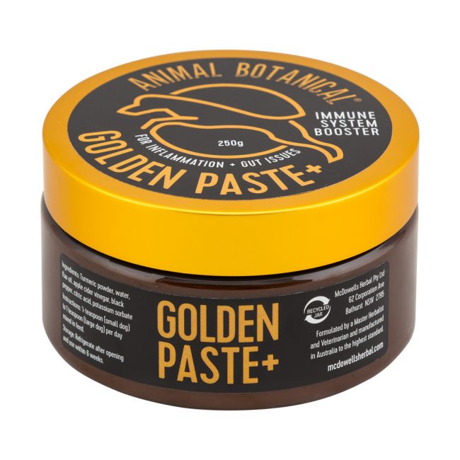 Golden Paste 250g