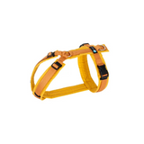 Anny.x Harness Fun