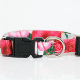 Puppy/Toy Dog Collar