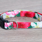Puppy/Toy Dog Collar