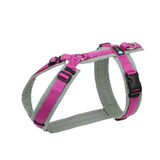 Anny.x Harness Fun