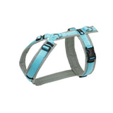 Anny.x Harness Fun Long/Short