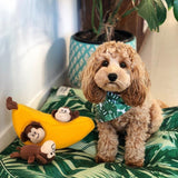 Indie Boho Medium Pet Bed *