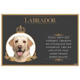 Fine Dining Pet Placemat *