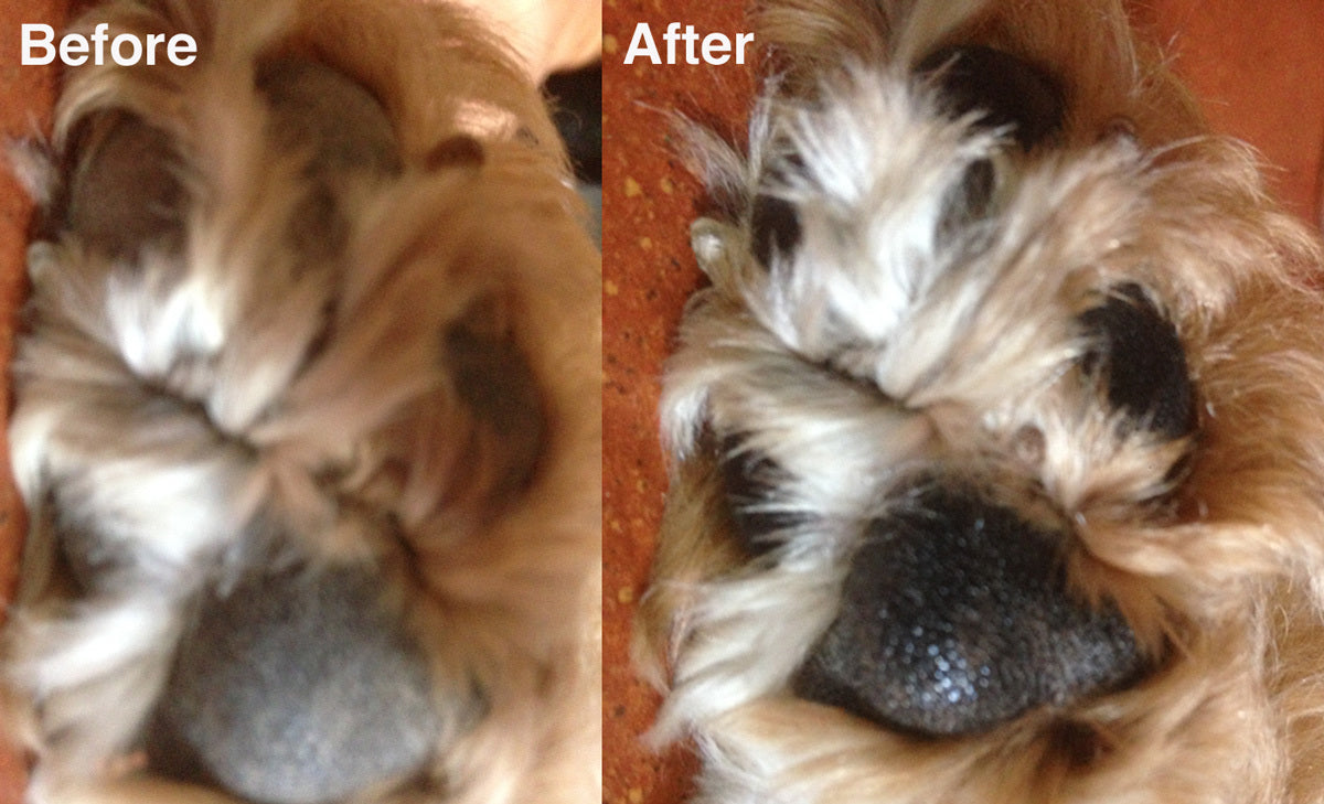 Organic Nose & Paw Balm