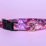 Puppy/Toy Dog Collar