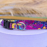 Puppy/Toy Dog Collar
