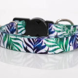 Puppy/Toy Dog Collar